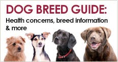 Trupanion Dog Breed Guide