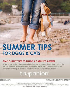 PDF of summer tips for your pet